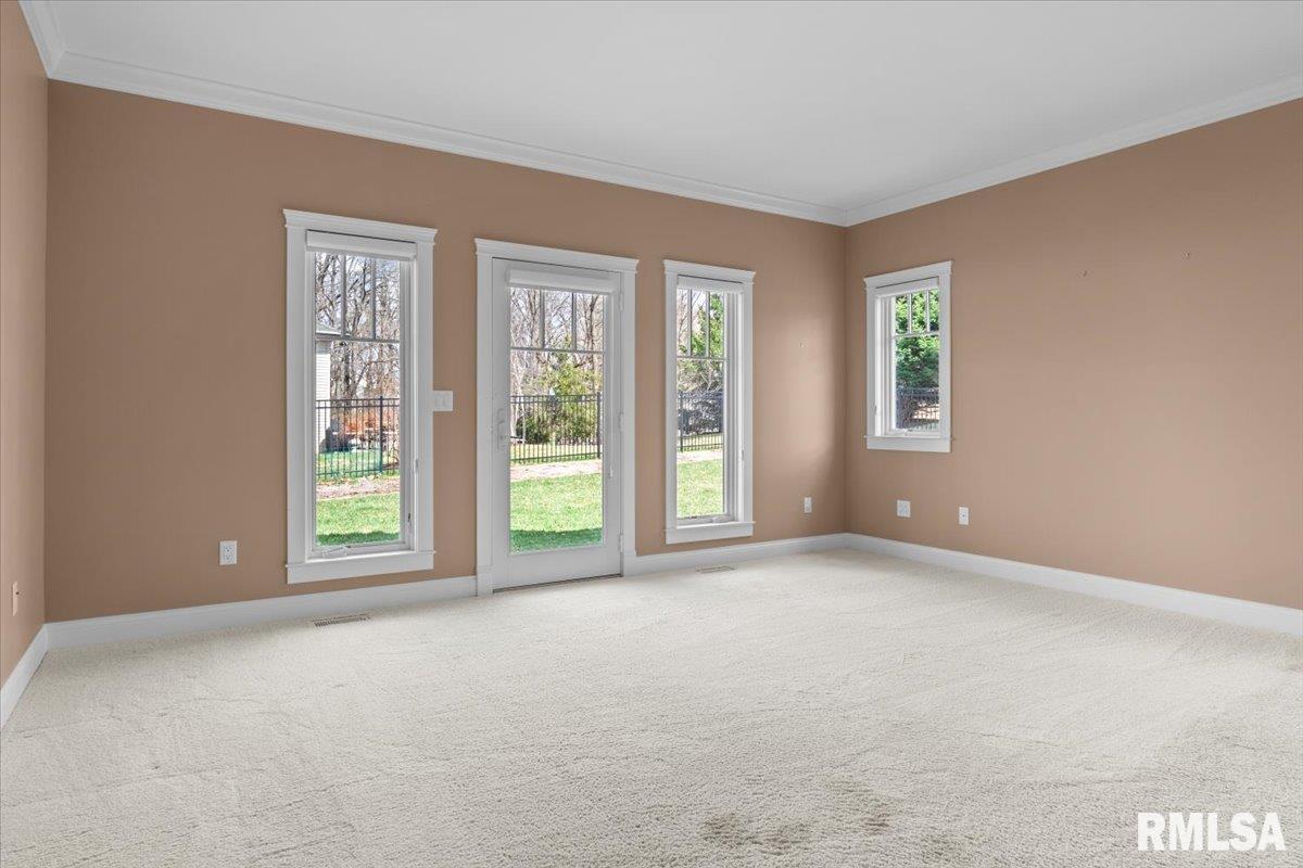 3825 Calla Lily Lane Springfield, IL 62711 - Photo 21 of 41