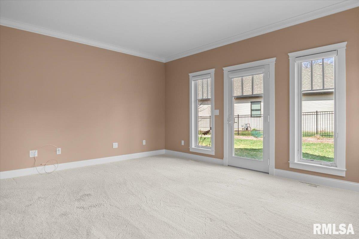 3825 Calla Lily Lane Springfield, IL 62711 - Photo 24 of 41