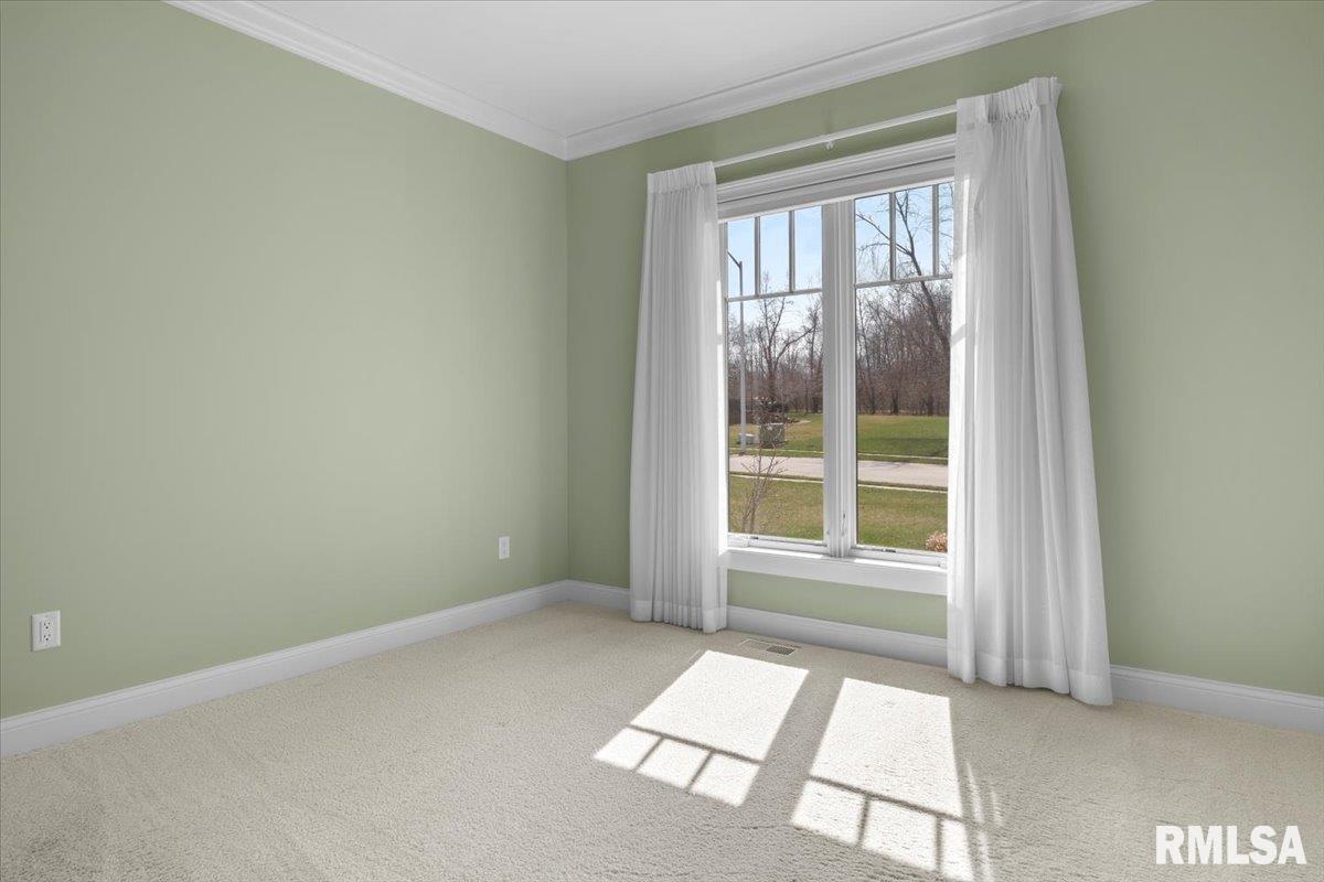 3825 Calla Lily Lane Springfield, IL 62711 - Photo 30 of 41