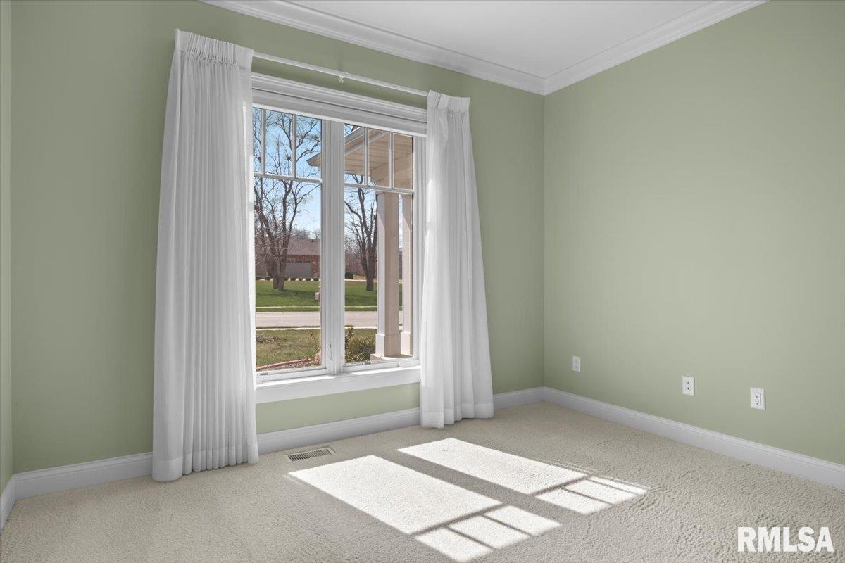3825 Calla Lily Lane Springfield, IL 62711 - Photo 32 of 41