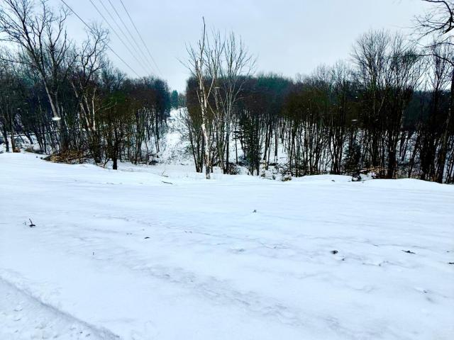 0 Cider Mill Hill Road Russell, PA 16345 - Photo 2 of 34 Gallery Image 2