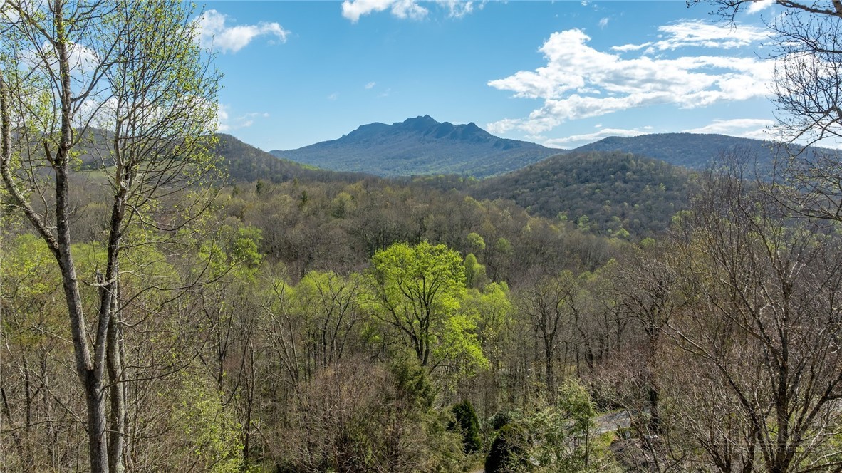 63 Two Hawks Lane Newland, NC 28657 - Photo 37 of 43