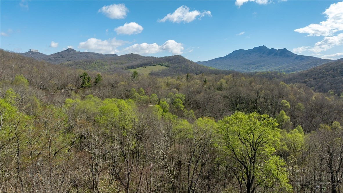 63 Two Hawks Lane Newland, NC 28657 - Photo 38 of 43