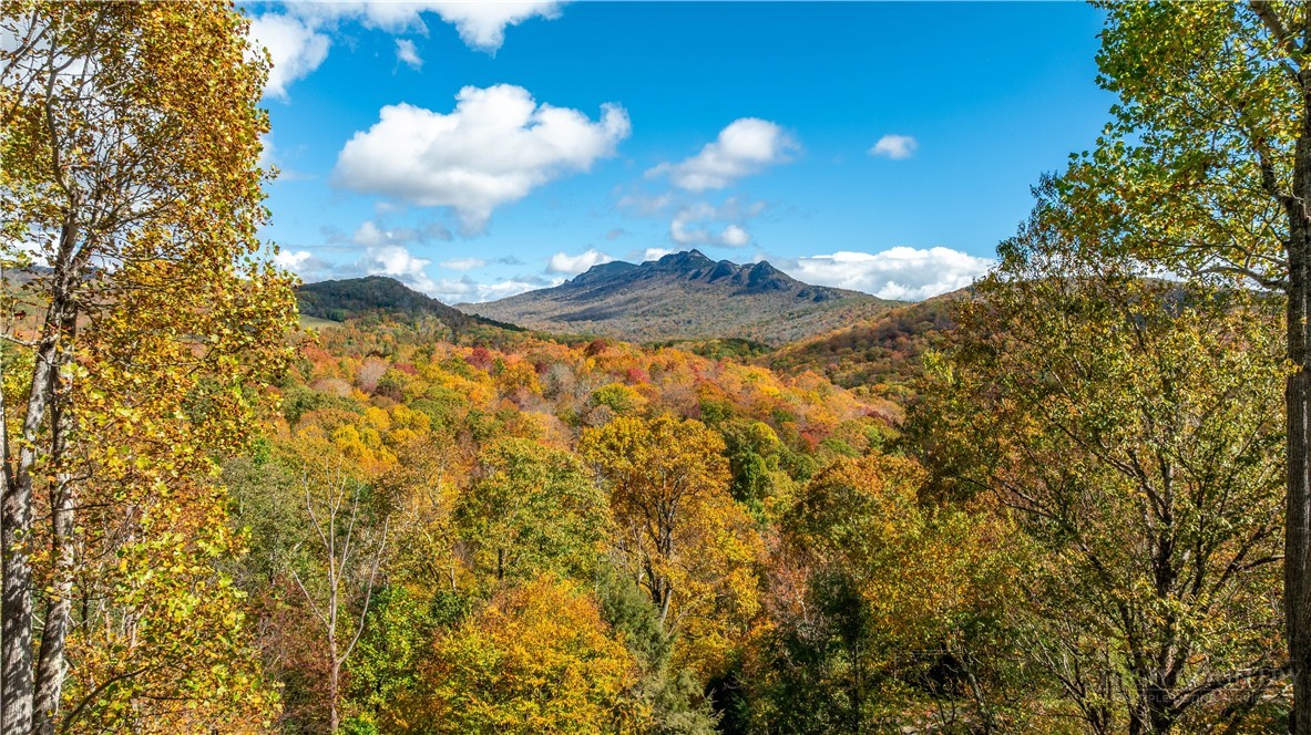 63 Two Hawks Lane Newland, NC 28657 - Photo 39 of 43