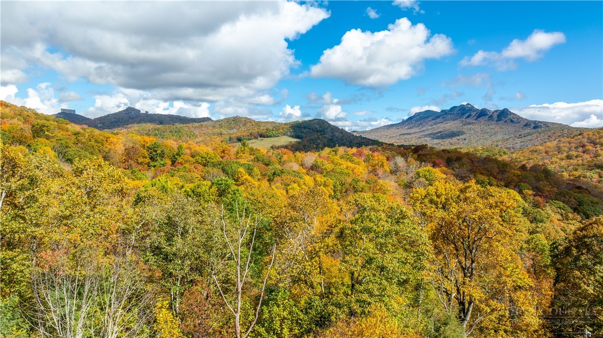 63 Two Hawks Lane Newland, NC 28657 - Photo 40 of 43