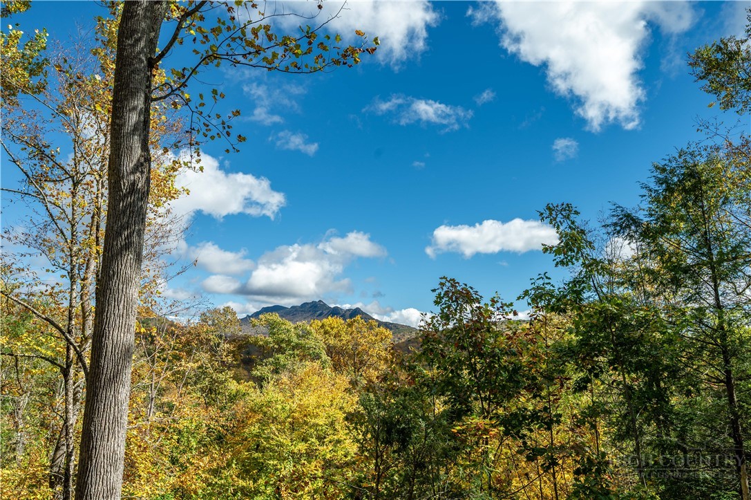 63 Two Hawks Lane Newland, NC 28657 - Photo 41 of 43