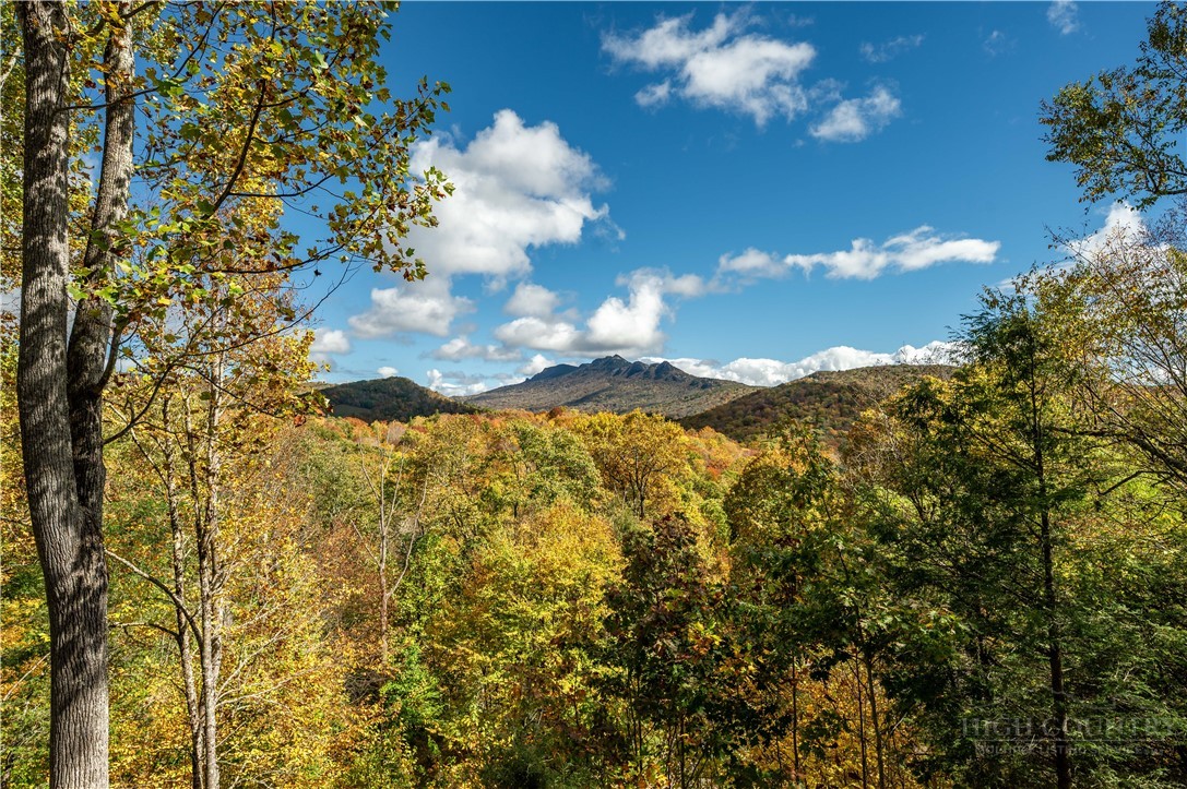 63 Two Hawks Lane Newland, NC 28657 - Photo 42 of 43