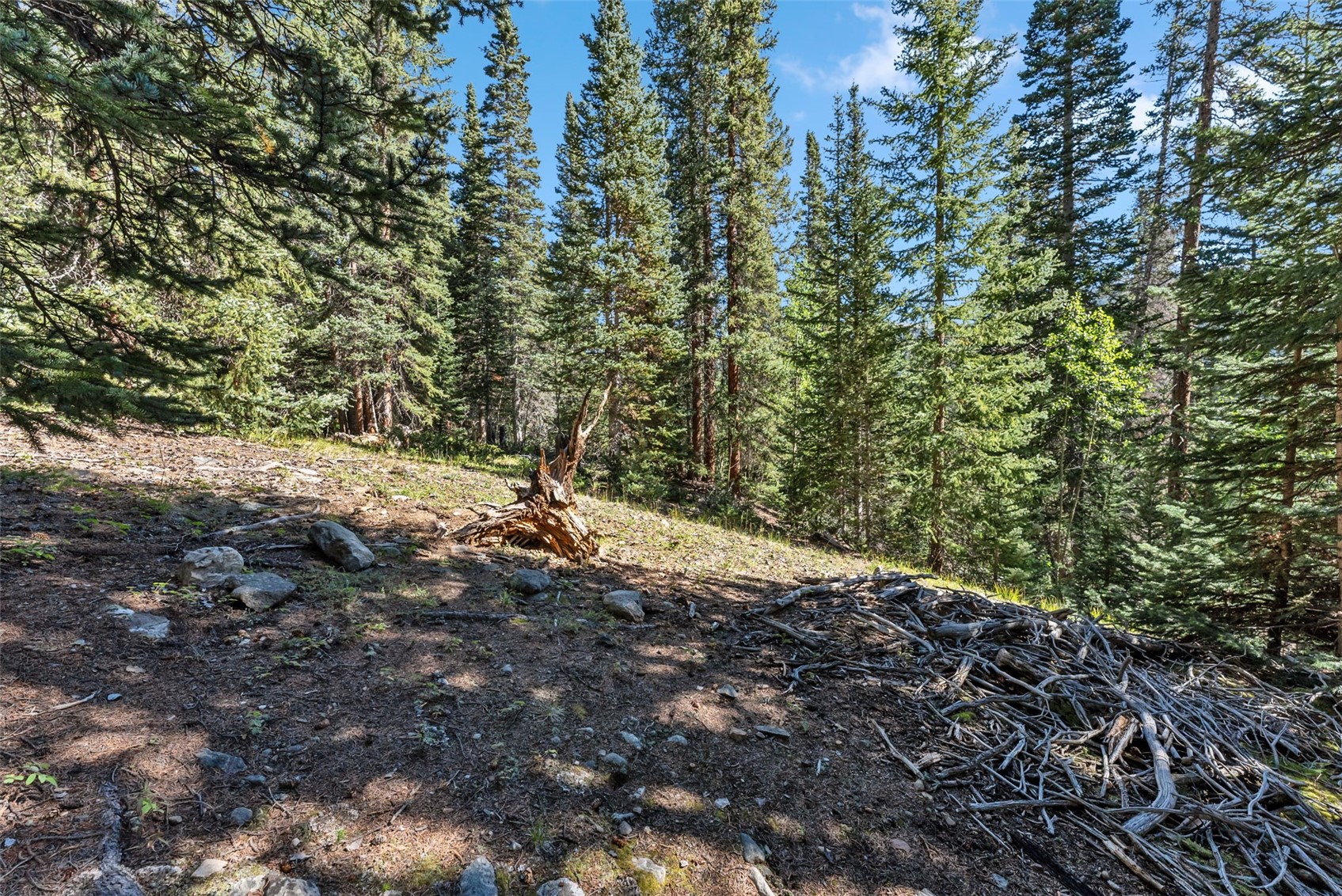 289 Ridge Road Alma, CO 80420 - Photo 22 of 25 Gallery Image 22