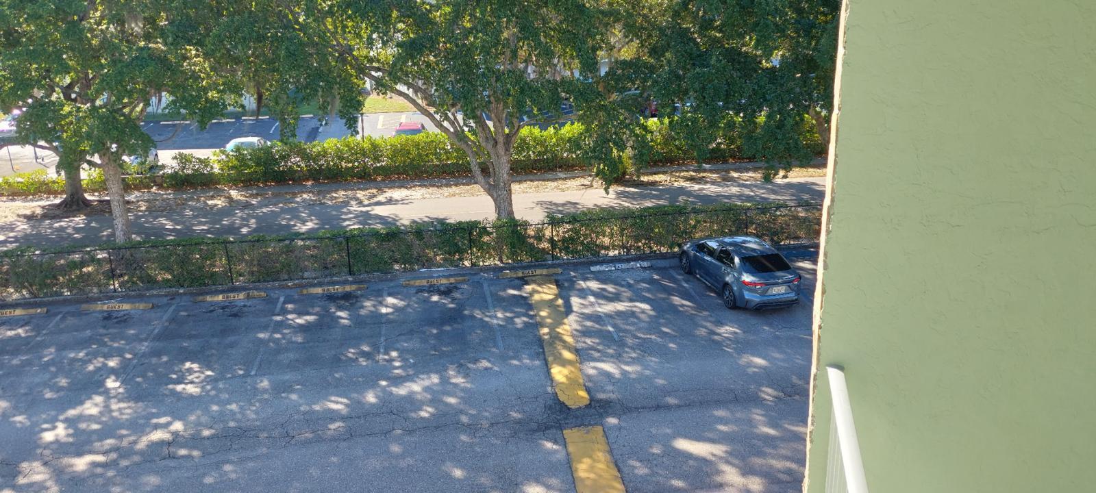 3100 Springdale Boulevard, Unit 317 Palm Springs, FL 33461 - Photo 15 of 18 a view of a park with large trees