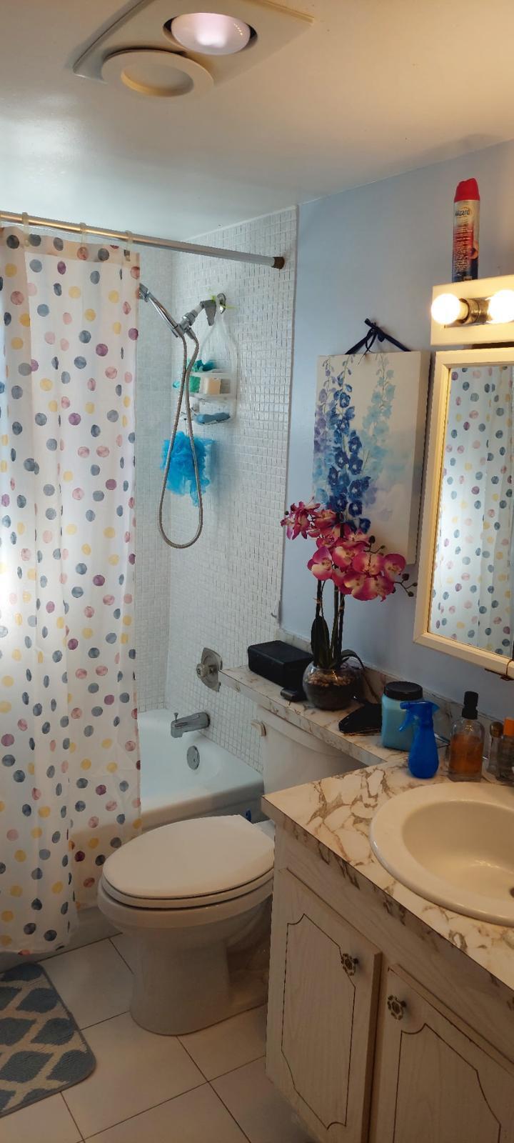 3100 Springdale Boulevard, Unit 317 Palm Springs, FL 33461 - Photo 7 of 18 a bathroom with a granite countertop sink a toilet and shower