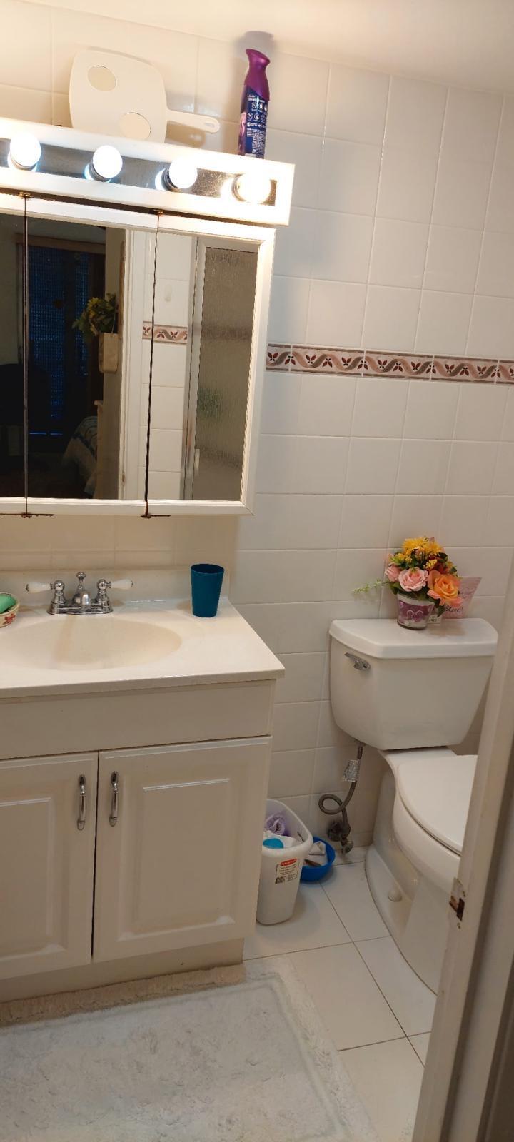 3100 Springdale Boulevard, Unit 317 Palm Springs, FL 33461 - Photo 10 of 18 a bathroom with a sink mirror vanity and toilet