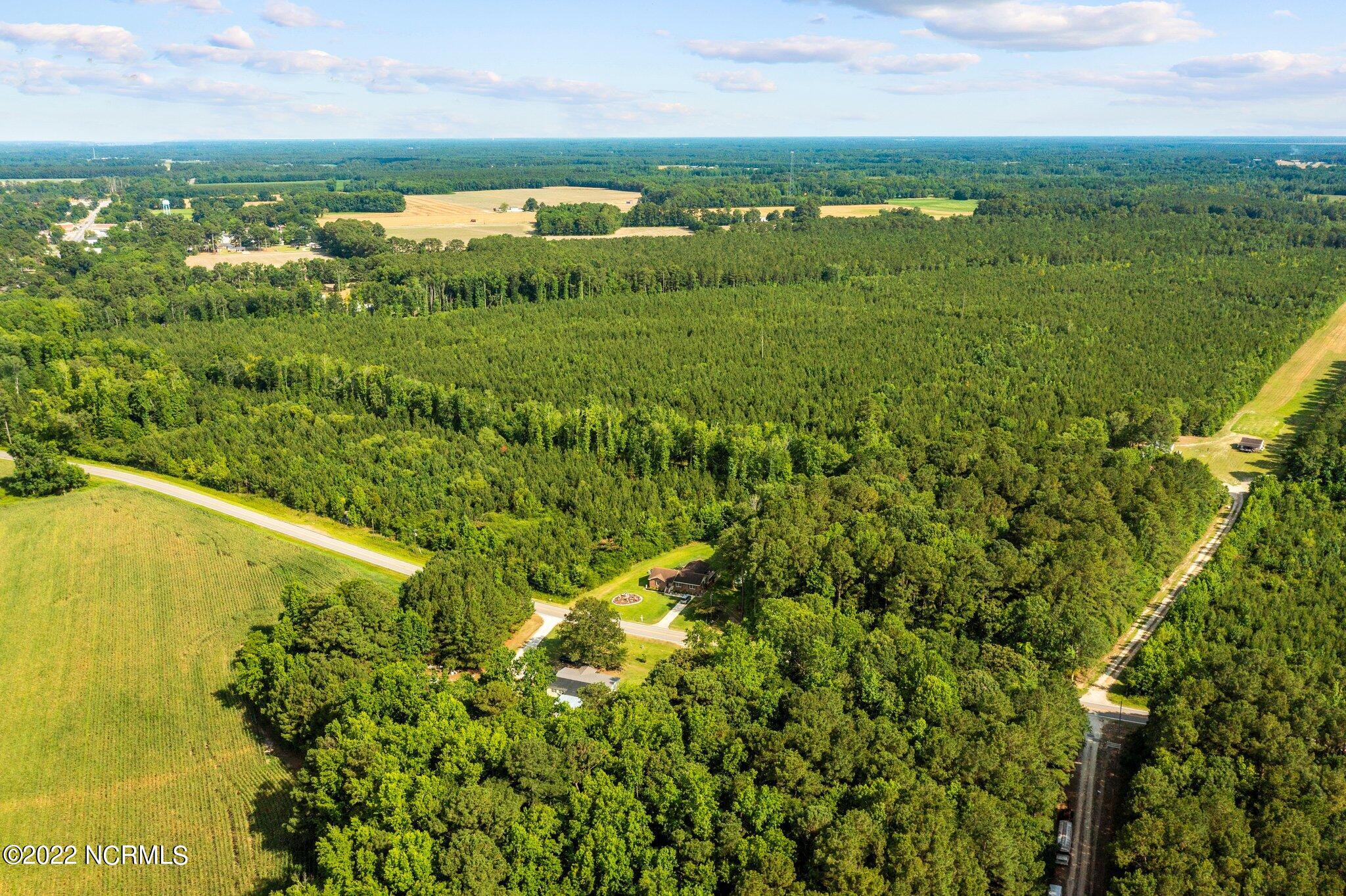 4812 Mobleys Bridge Road Grimesland, NC 27837 - Photo 8 of 12 web_DJI_0994