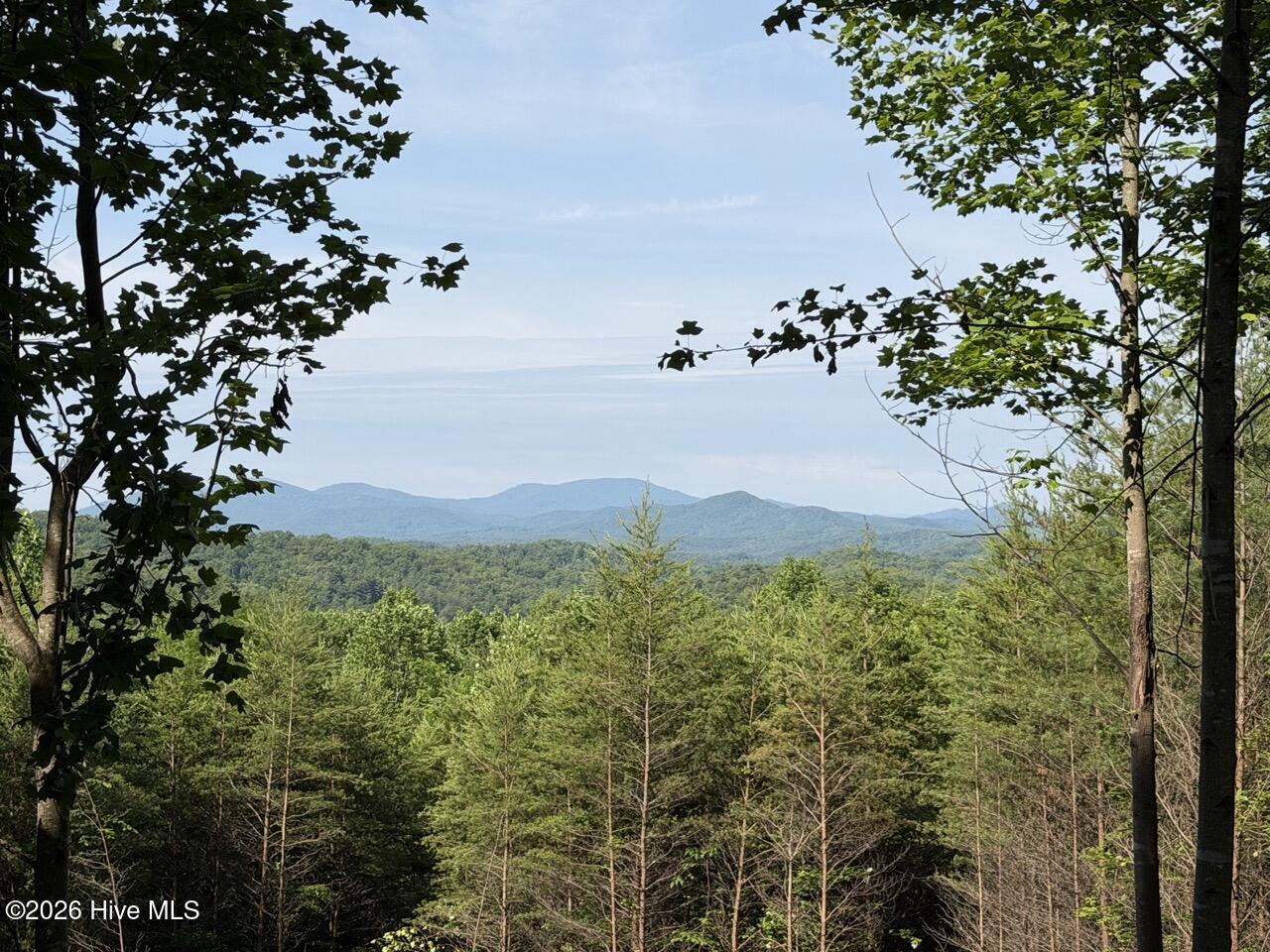 0 Ogreeta Road Murphy, NC 28906 - Photo 47 of 47