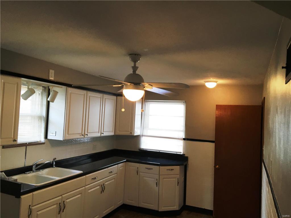 4105 Delor Street St. Louis, MO 63116 - Photo 3 of 21