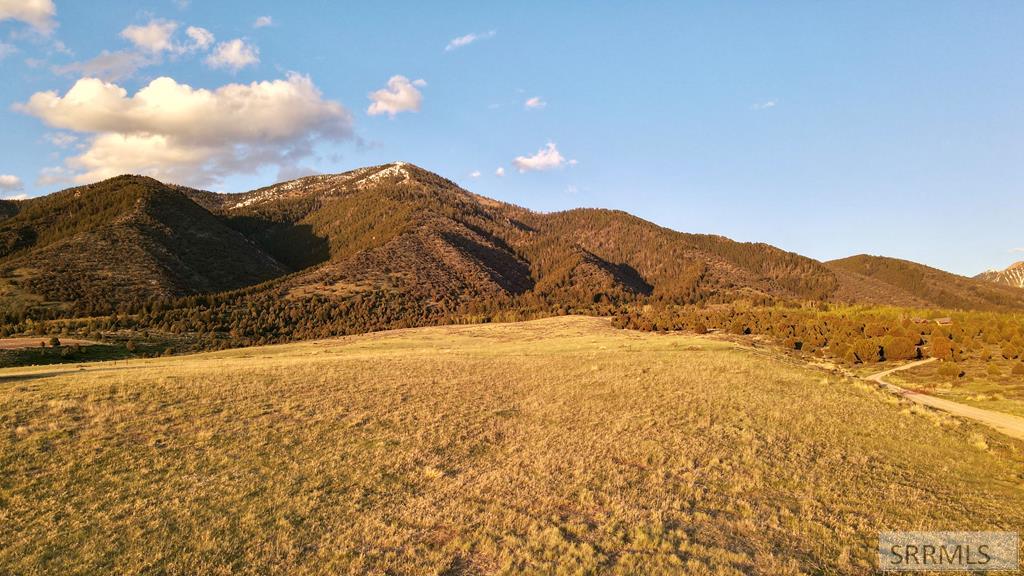 Tbd Sumac Loop Swan Valley, ID 83449 - Photo 1 of 6 Main View