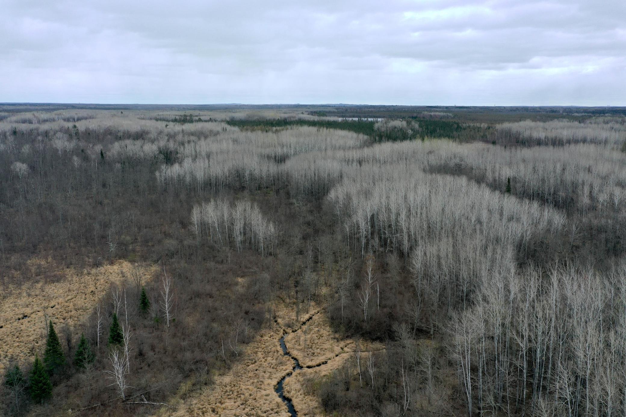 3854 Rasmussen Road Wright, MN 55798 - Photo 31 of 98