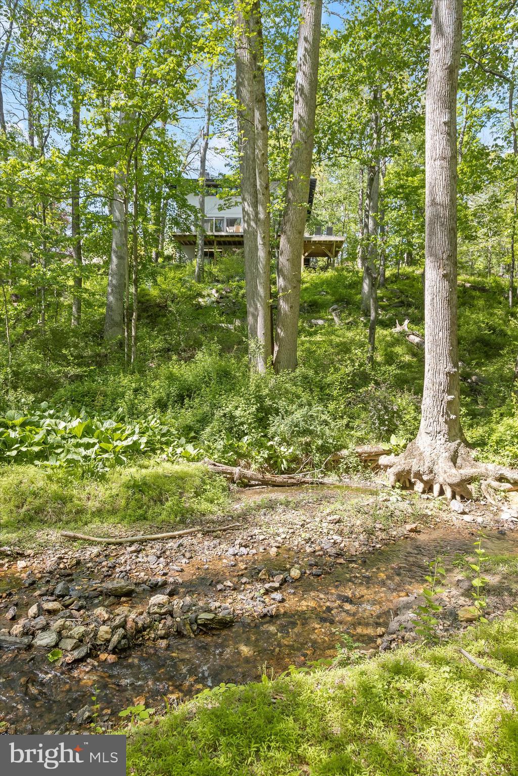 927 Buckhorn Road Sykesville, MD 21784 - Photo 128 of 147 3.84 Acres
