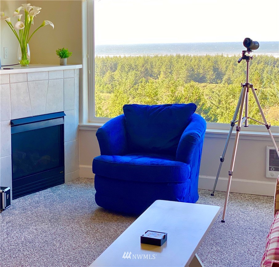 2815 Willows Road, Unit 335 Seaview, WA 98644 - Photo 6 of 21 Gallery Image 6
