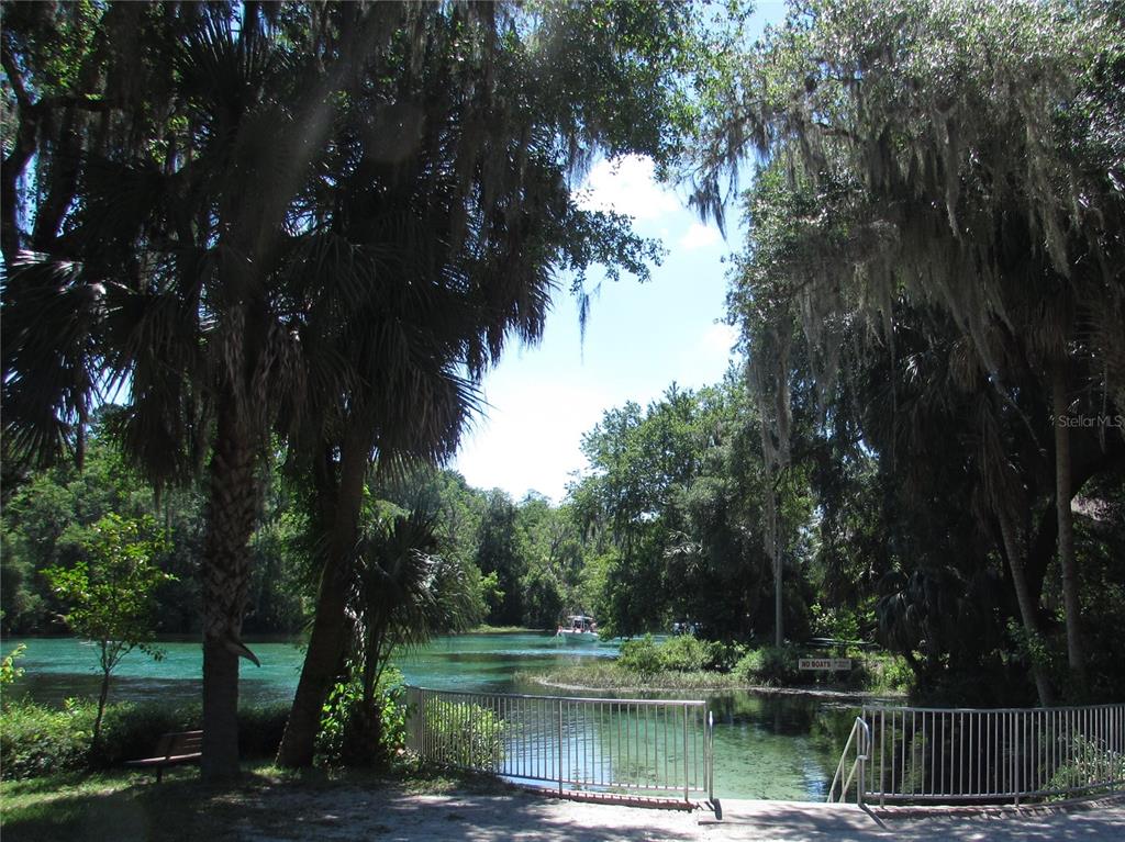 9832 Southwest 196th Avenue Road Dunnellon, FL 34432 - Photo 15 of 23