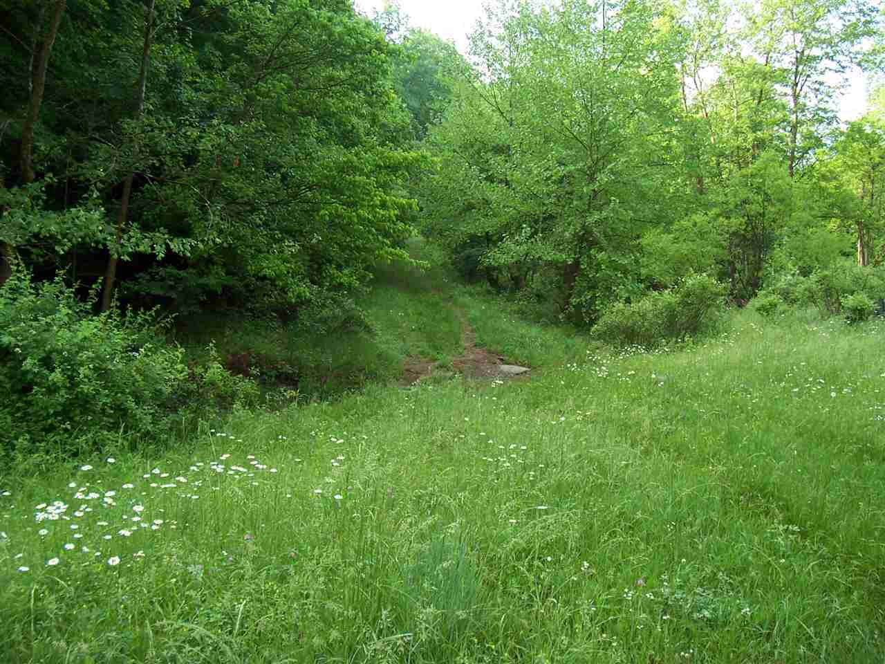 952 Gates Line Road Leon, WV 25123 - Photo 6 of 21 Gallery Image 6