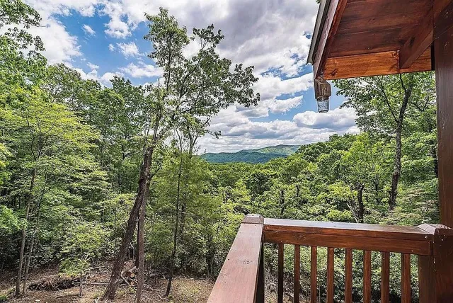 $515,000 | 137 Ascherman Court, Blue Ridge, GA 30513