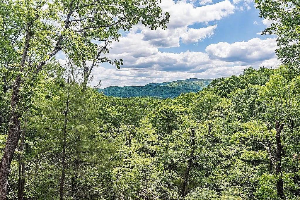 137 Ascherman Court Blue Ridge, GA 30513 - Photo 28 of 38