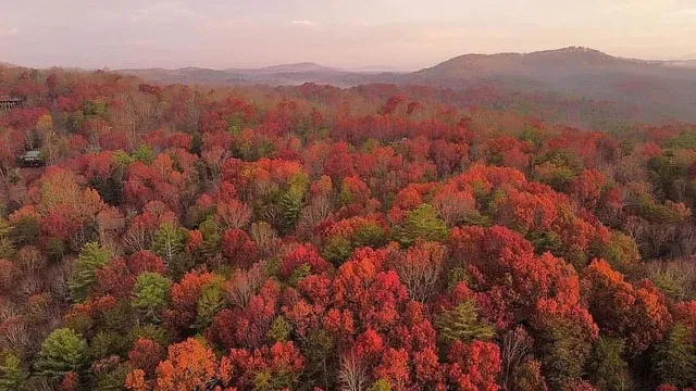 $515,000 | 137 Ascherman Court, Blue Ridge, GA 30513