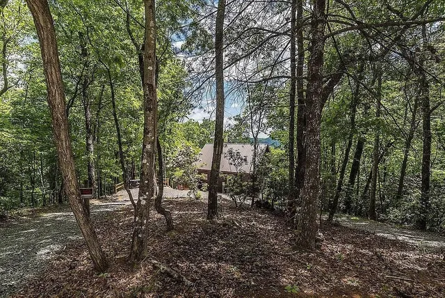 $515,000 | 137 Ascherman Court, Blue Ridge, GA 30513