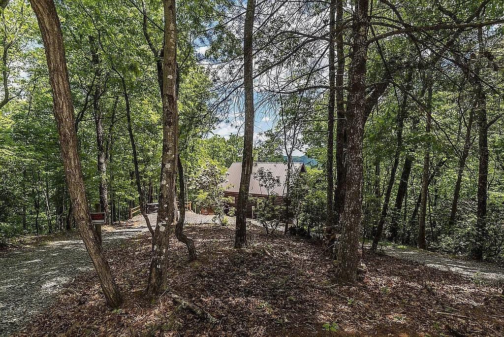 137 Ascherman Court Blue Ridge, GA 30513 - Photo 34 of 38