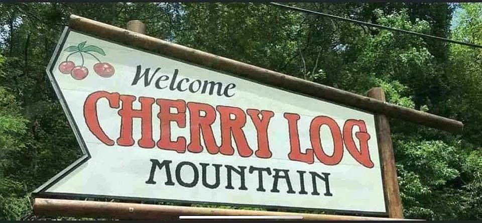 137 Ascherman Court Blue Ridge, GA 30513 - Photo 35 of 38