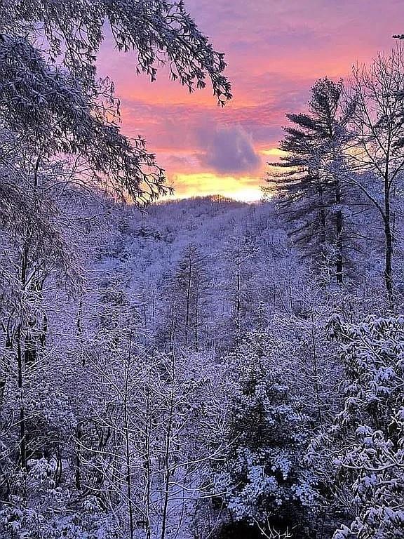 137 Ascherman Court Blue Ridge, GA 30513 - Photo 36 of 38