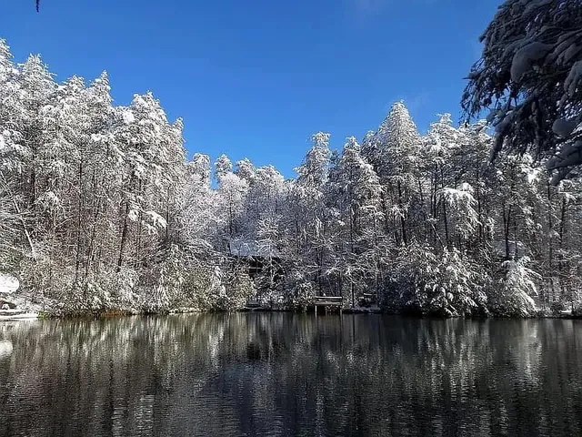 $515,000 | 137 Ascherman Court, Blue Ridge, GA 30513