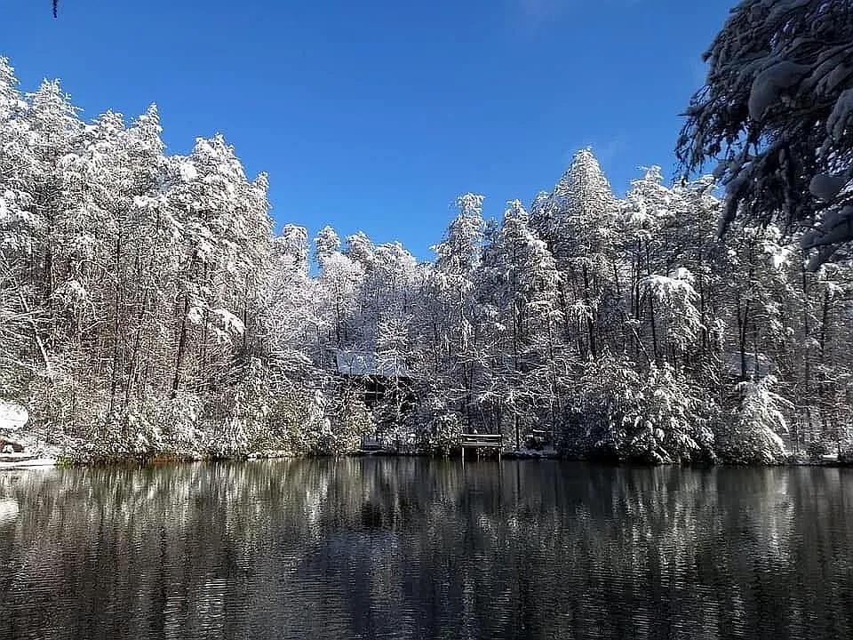 137 Ascherman Court Blue Ridge, GA 30513 - Photo 37 of 38