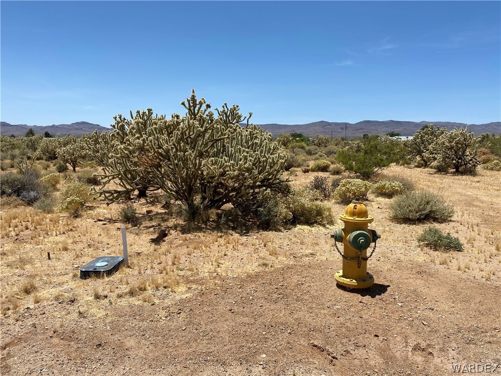 4030 Concho Road Golden Valley, AZ 86413 - Photo 4 of 6