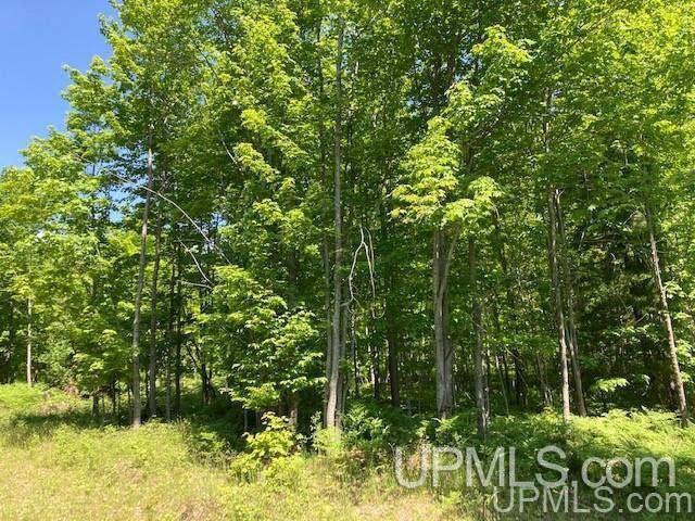 Tbd Worham Road Chassell, MI 49916 - Photo 16 of 45 Gallery Image 16