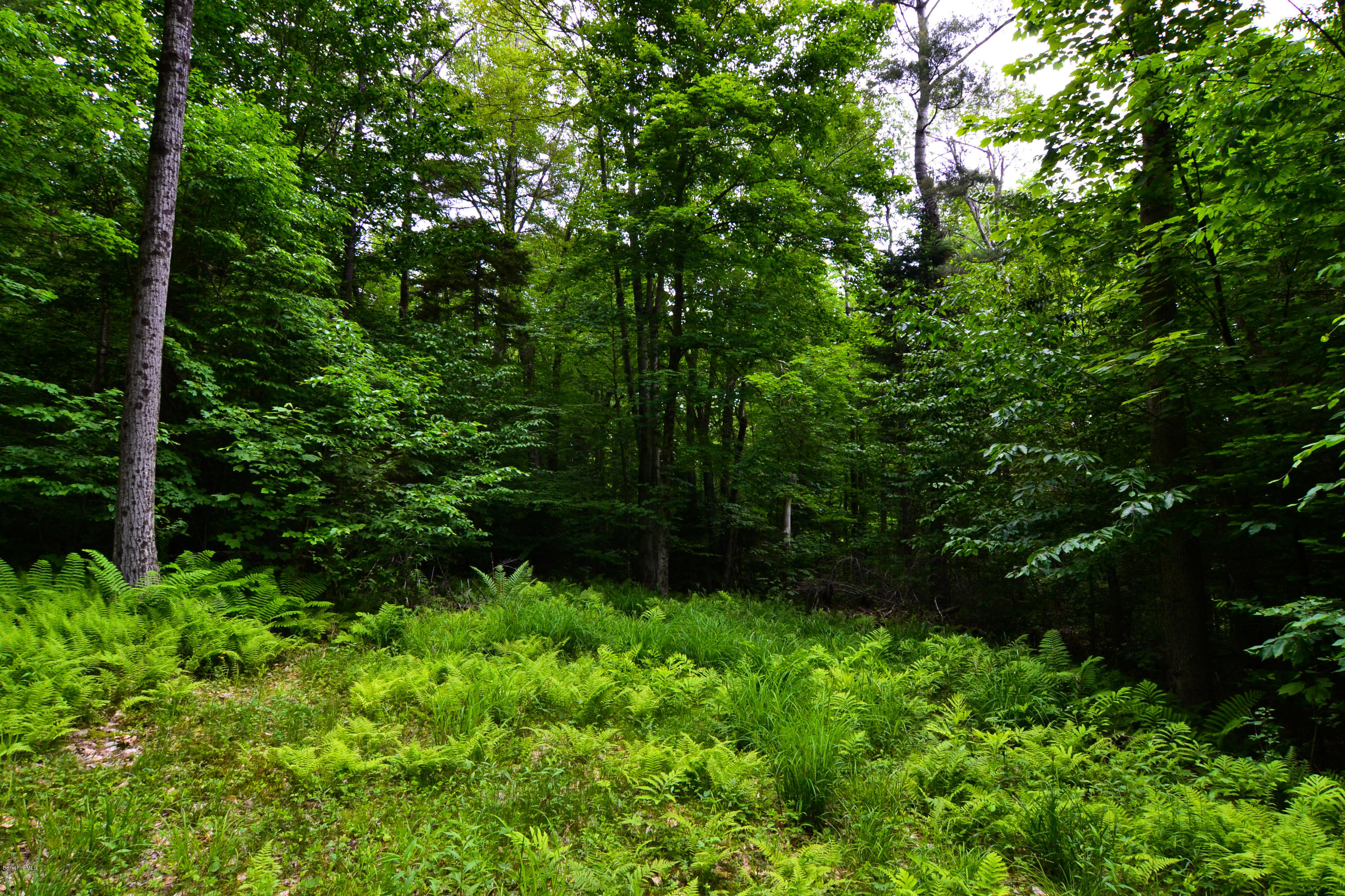 451 McNerney Road Becket, MA 01223 - Photo 3 of 8 DSC_0441