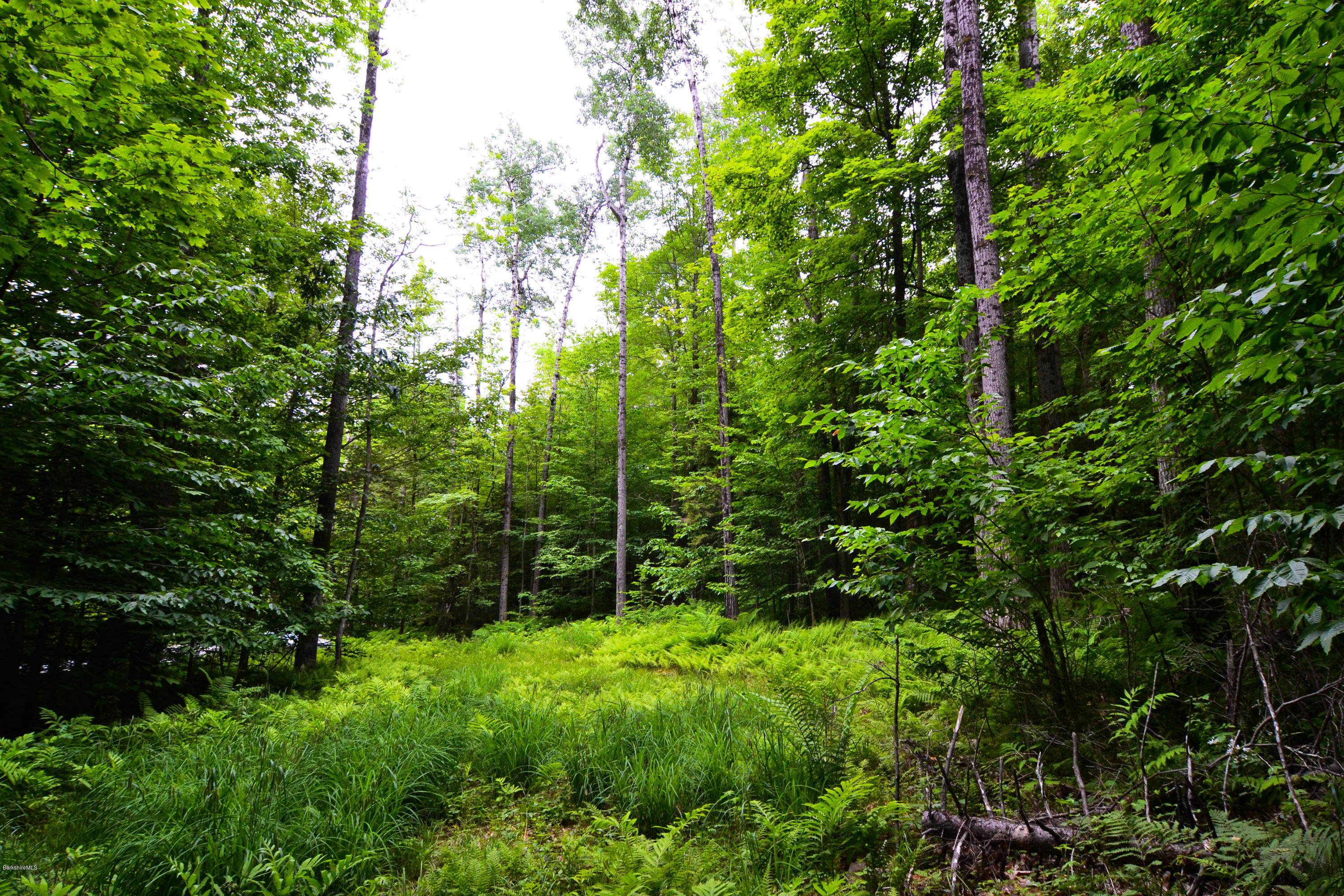451 McNerney Road Becket, MA 01223 - Photo 5 of 8 DSC_0443