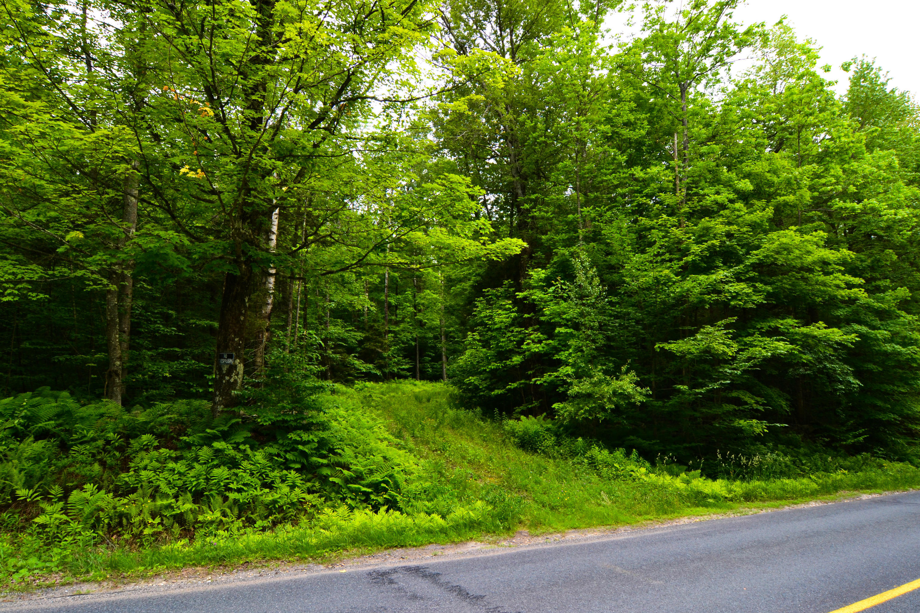451 McNerney Road Becket, MA 01223 - Photo 6 of 8 DSC_0444
