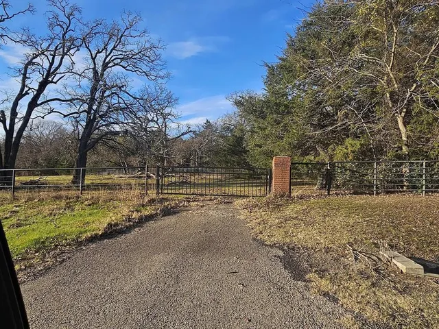 a view of dirt yard with a large tree
