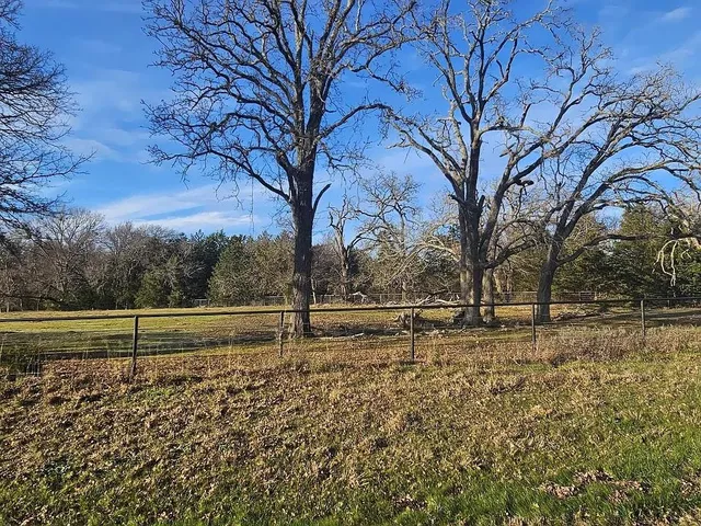 a yard with trees and empty space