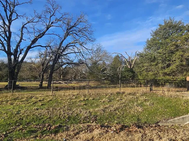 a backyard of water with large trees