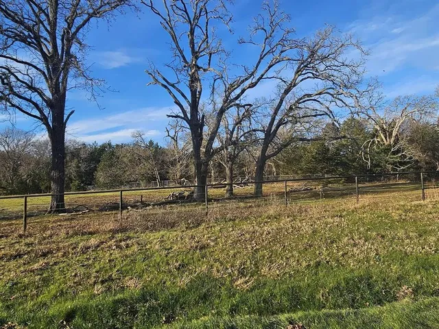 a view of outdoor space with garden