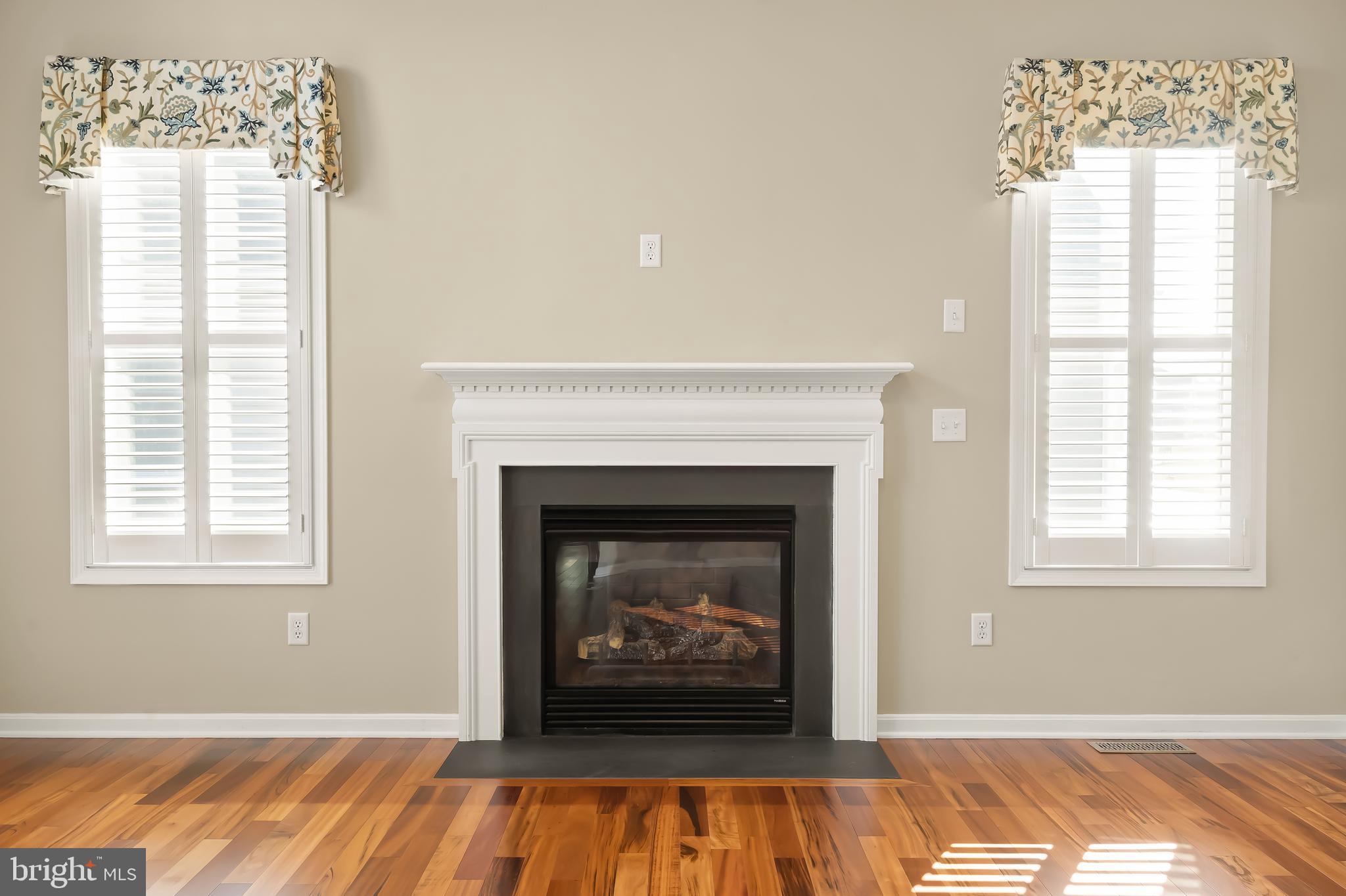 16608 Shoal Road Lewes, DE 19958 - Photo 10 of 69 Instant Ambiance Gas Fireplace