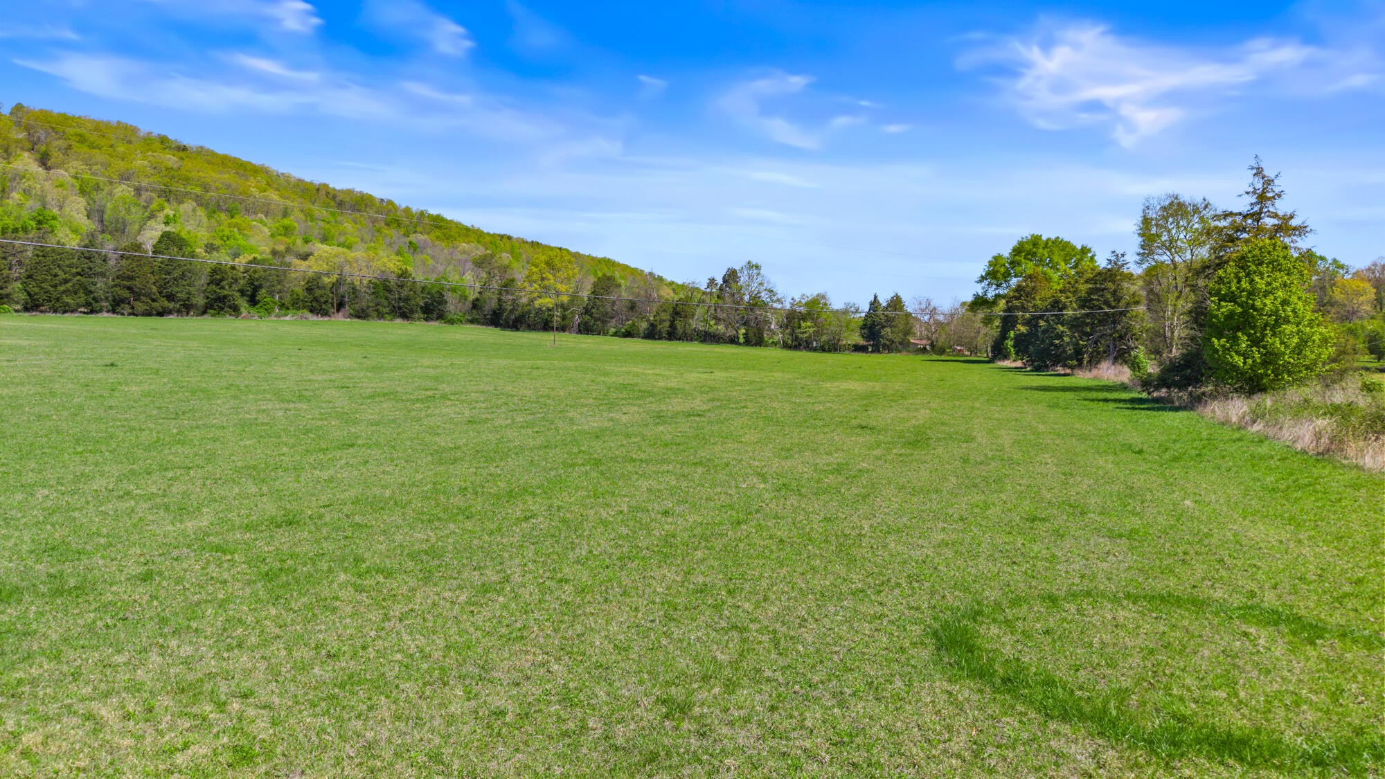 0 Dogtown Road Ten Mile, TN 37880 - Photo 4 of 9
