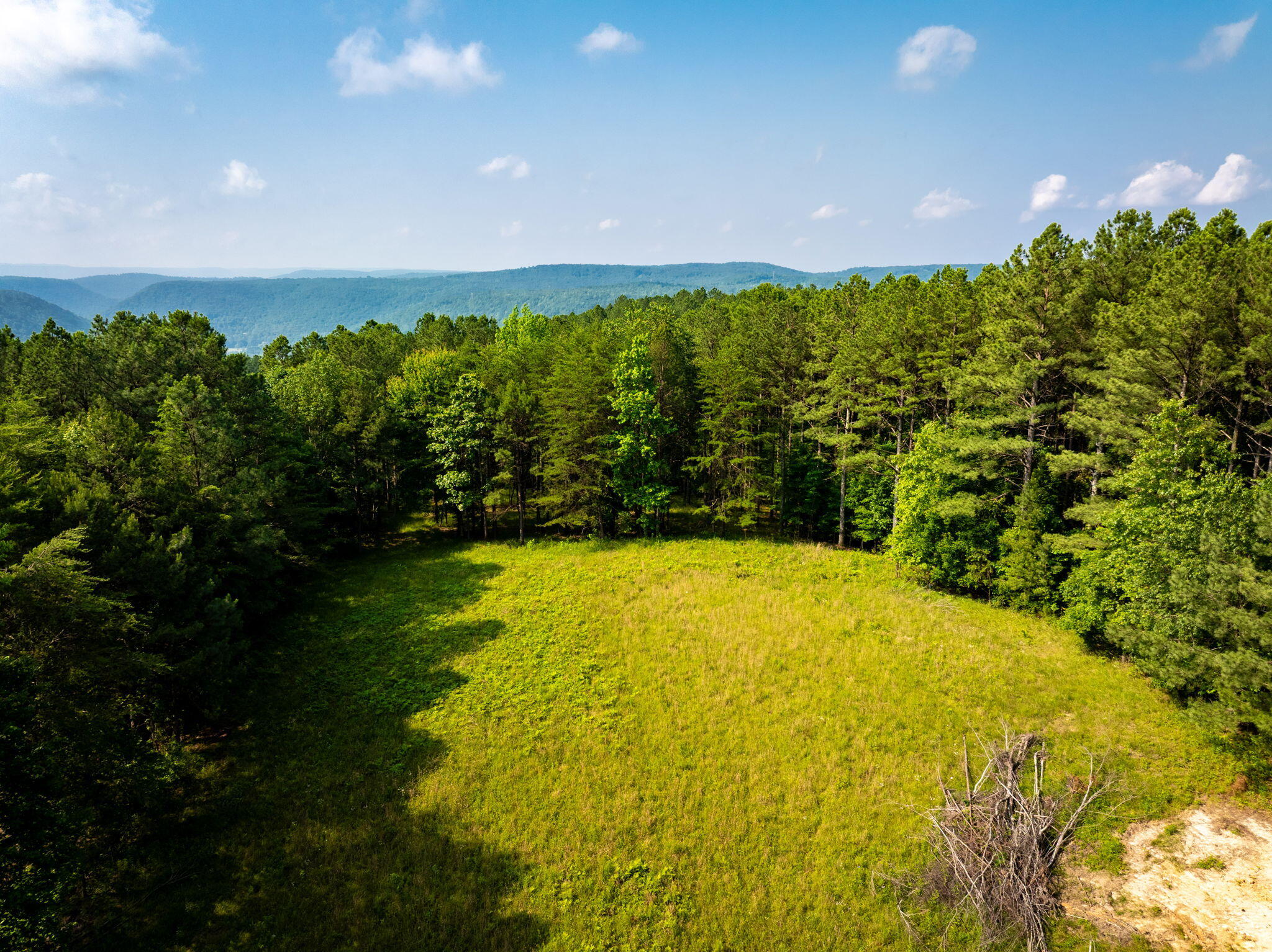 0 Split Rail Way, Unit LOT 1379 Guild, TN 37340 - Photo 9 of 30 9-web-or-mls-DJI_20250604072331_0811_D-1