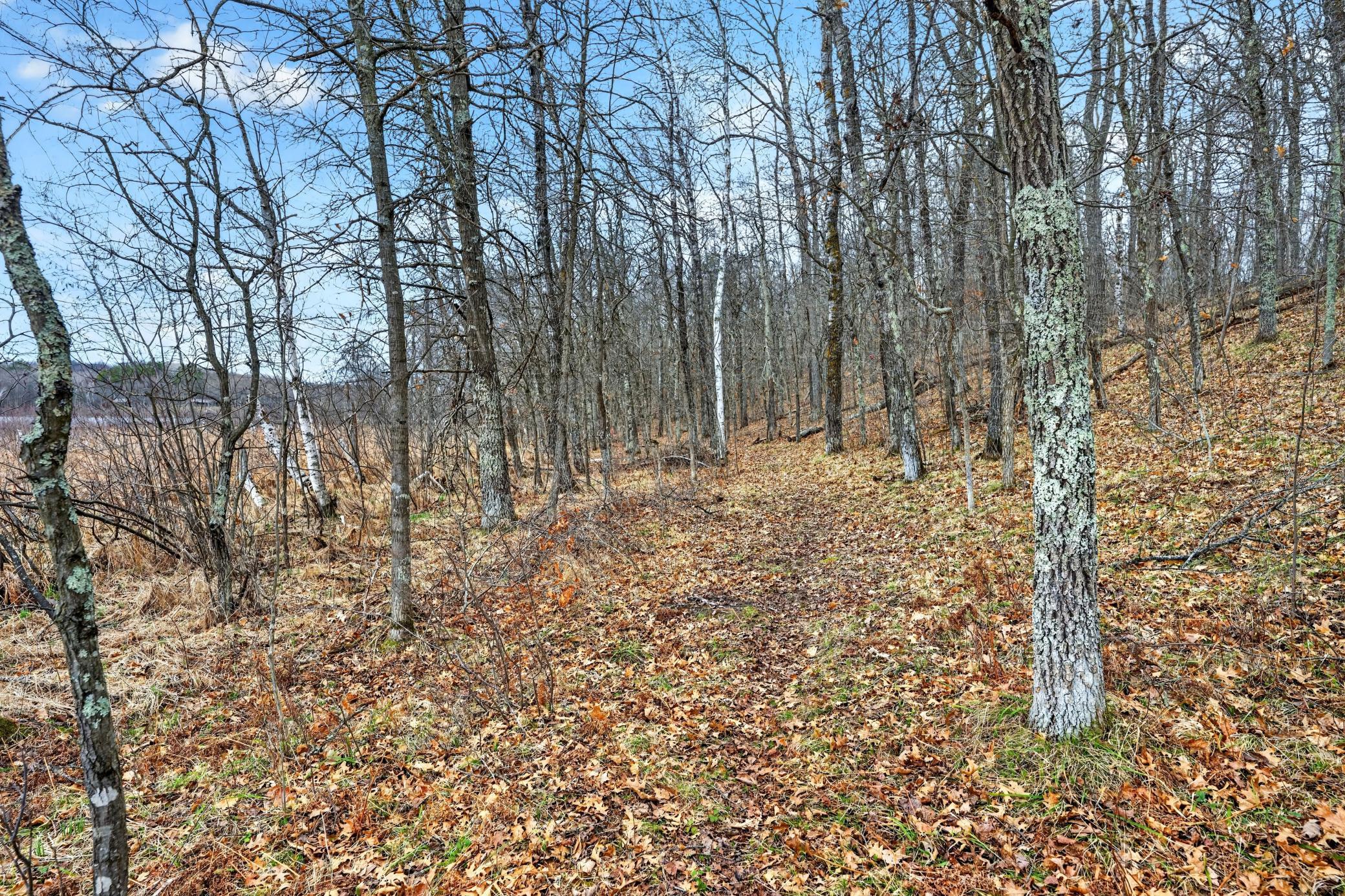 Lot 3 Lakeside Road Trego, WI 54888 - Photo 11 of 13