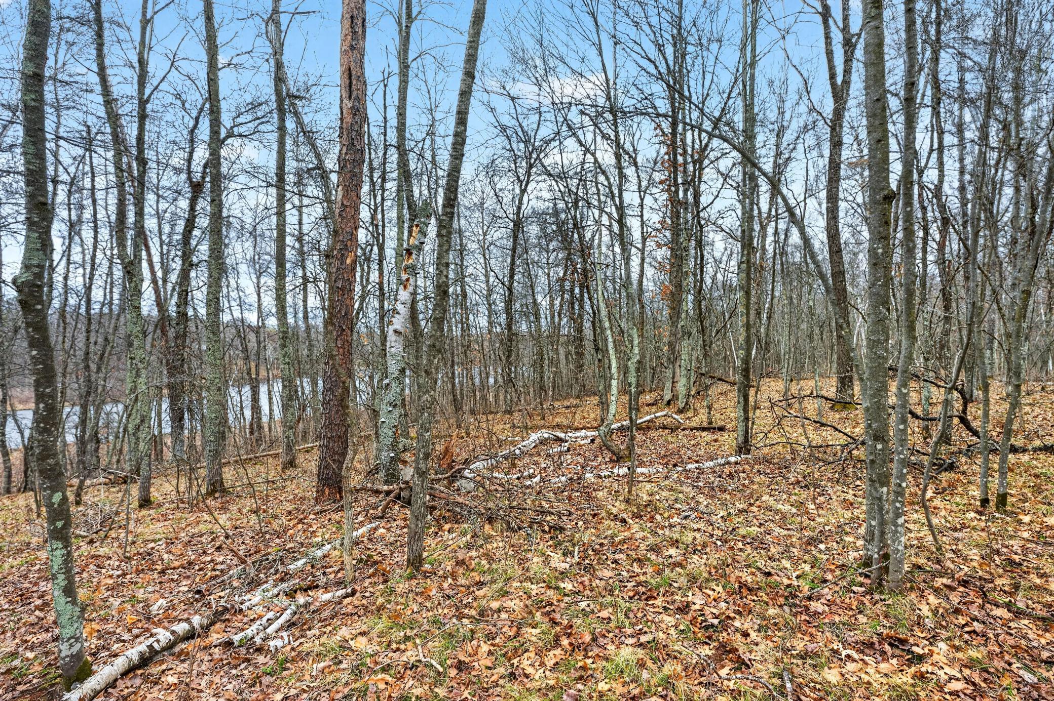 Lot 3 Lakeside Road Trego, WI 54888 - Photo 12 of 13