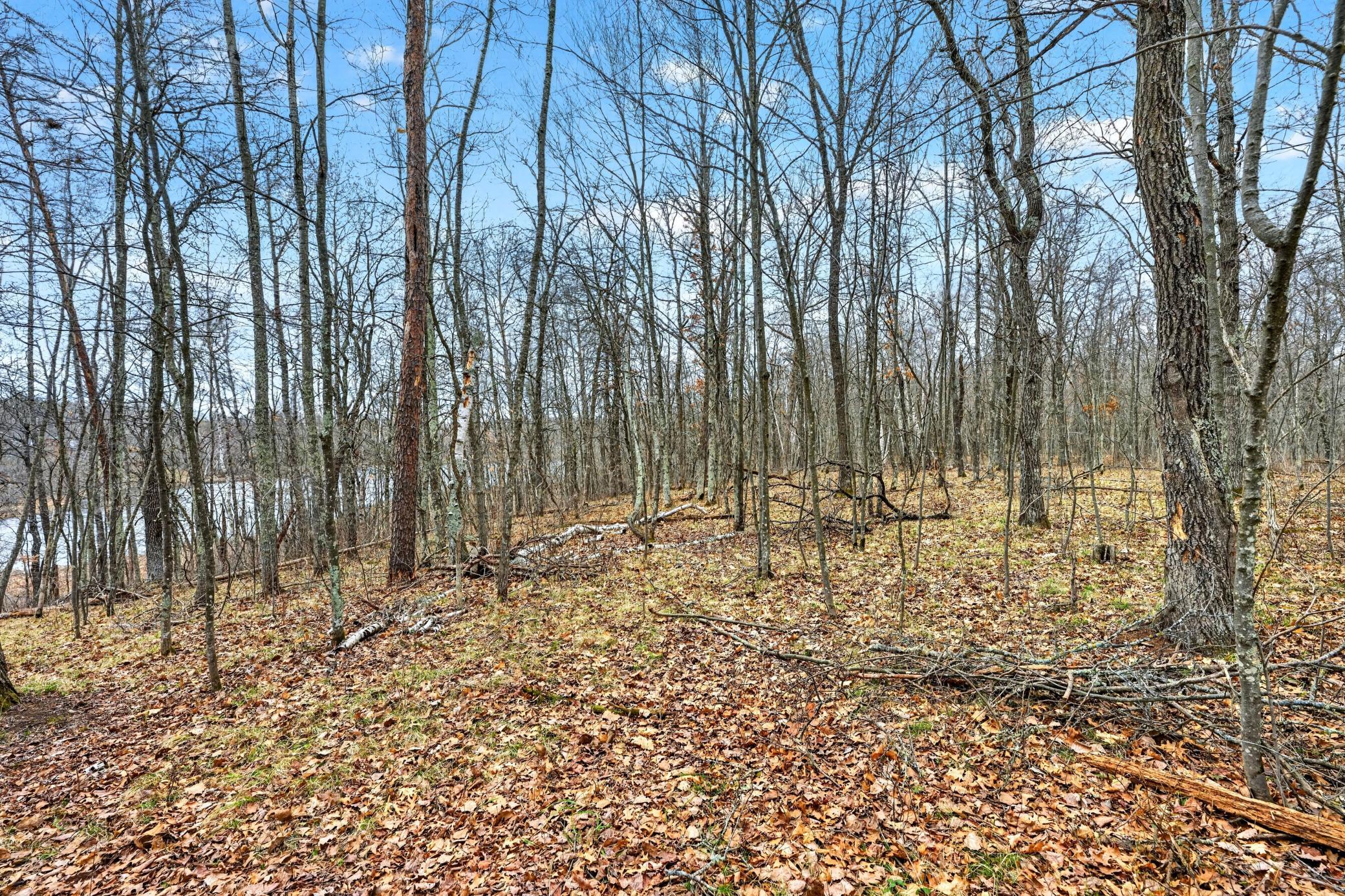 Lot 3 Lakeside Road Trego, WI 54888 - Photo 9 of 13