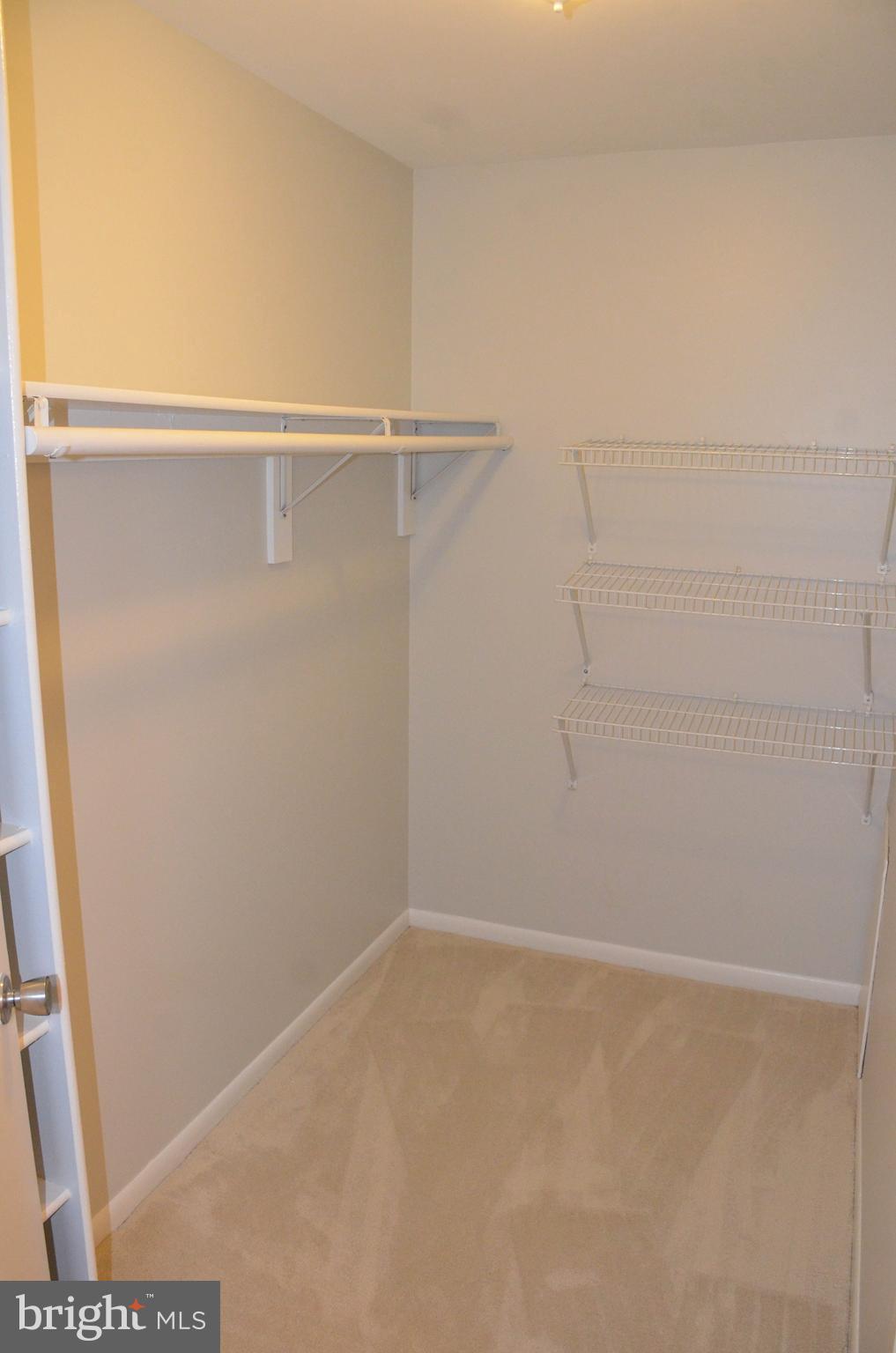 1424 Northgate Square, Unit 22B Reston, VA 20190 - Photo 11 of 16 Huge walk in closet!