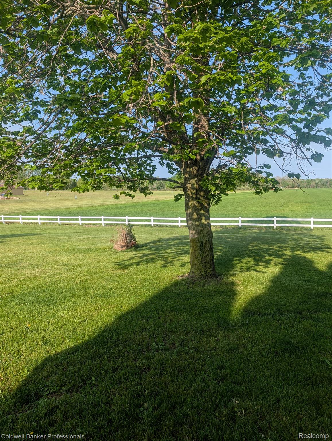 3210 South Kingston Road Kingston, MI 48741 - Photo 12 of 64 View of yard featuring a view of countryside
